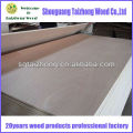 High Quality Foming Plywood Wood